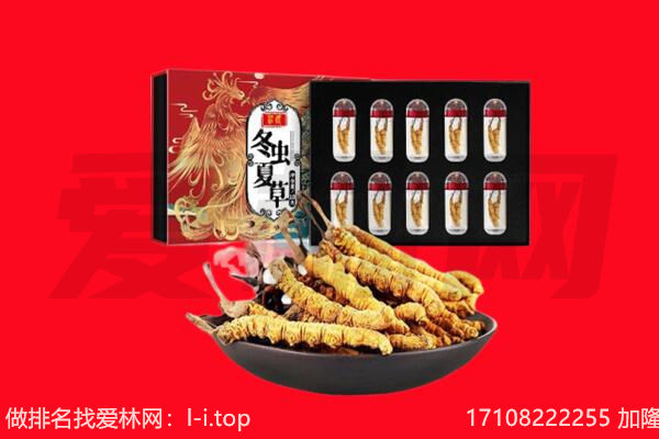 惠州龙门县回收虫草.jpg